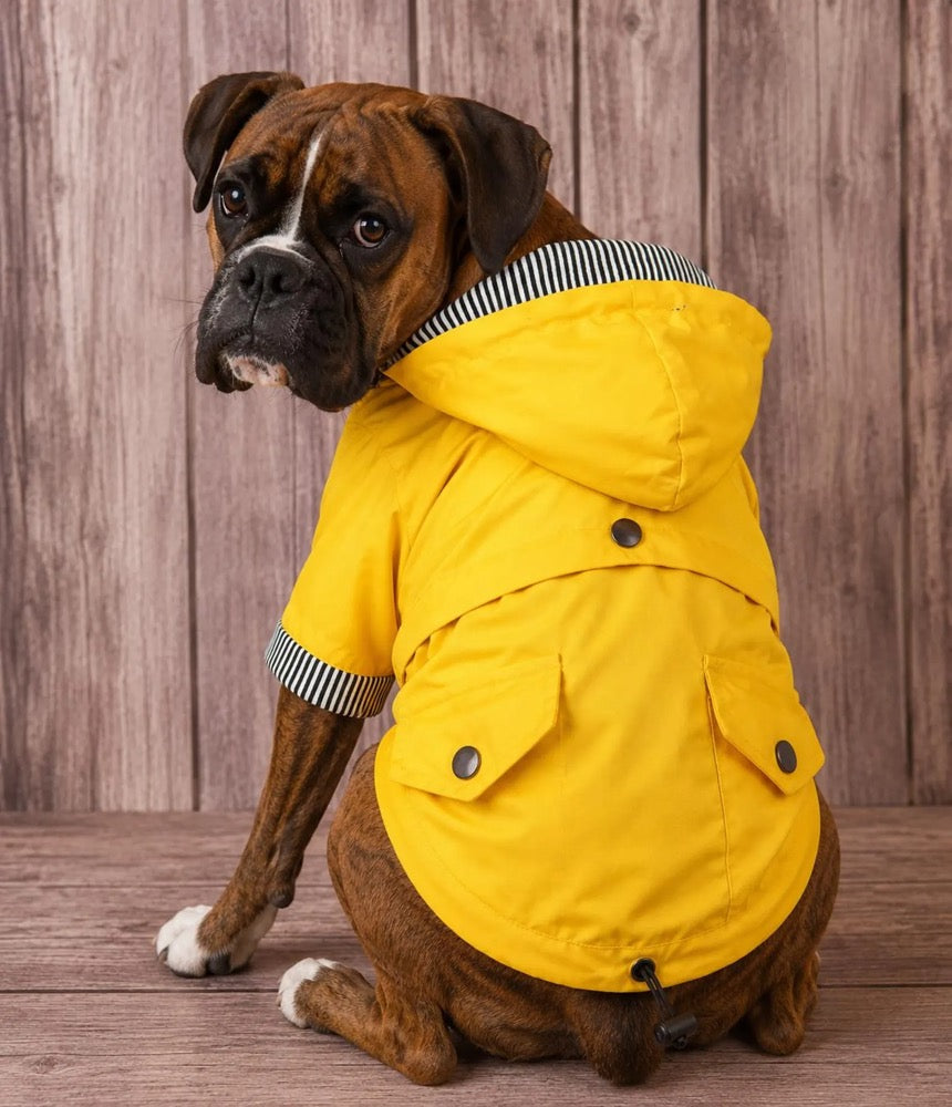 Yellow Stripe Dog Raincoat – Waterproof Pet Rain Jacket