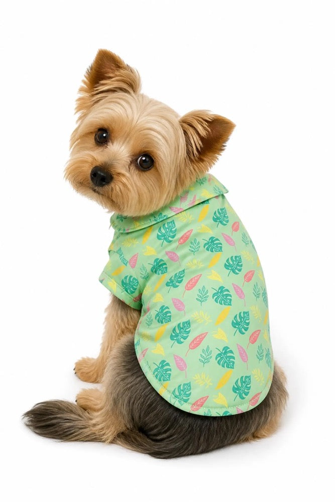 Tropical Hawaiian Dog Shirt – Summer Pup Outfit