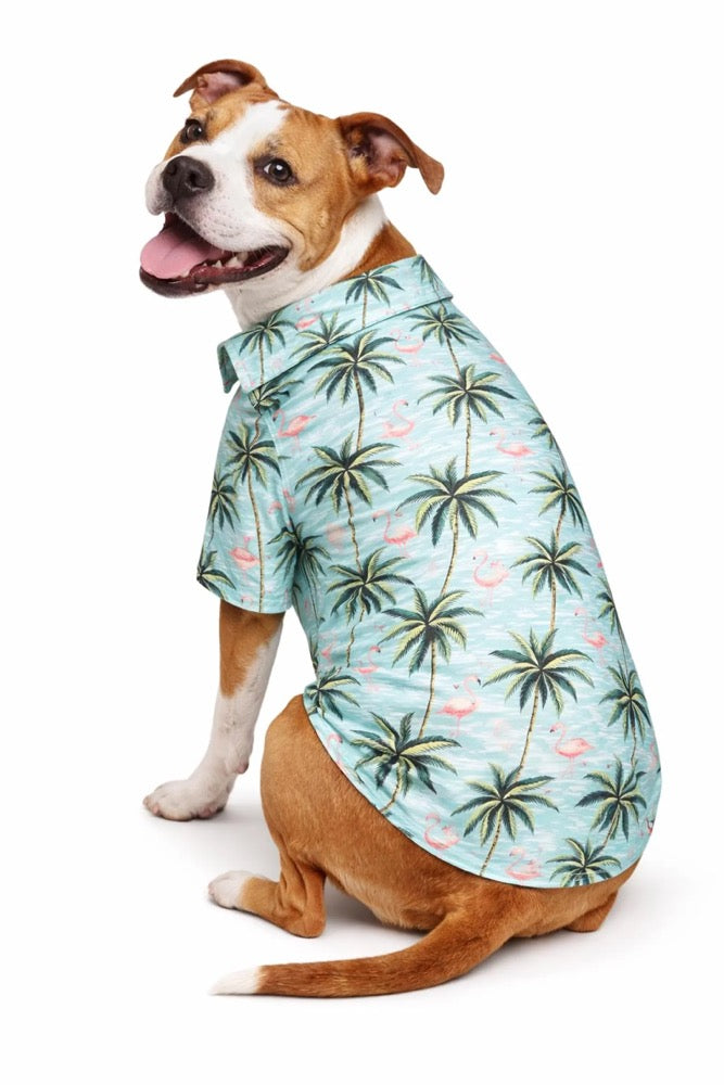 Flamingo Hawaiian Dog Shirt – Summer Pup Outfit