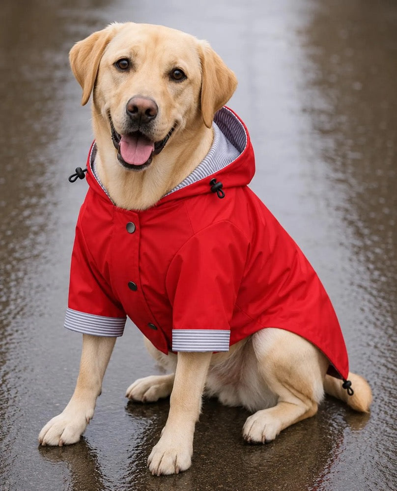 Red Stripe Dog Raincoat – Waterproof Pet Rain Jacket